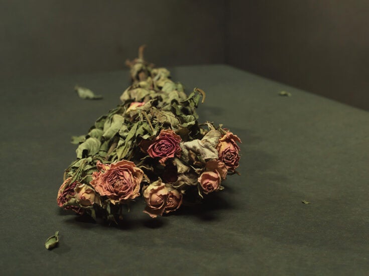 A prison made of flowers: how Valentine’s Day sells us patriarchy disguised as romance