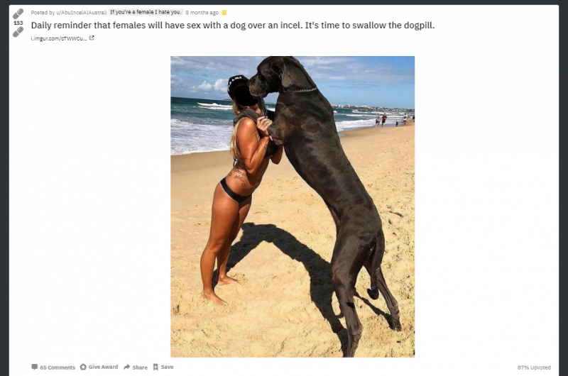Man Rapes Dog Porn
