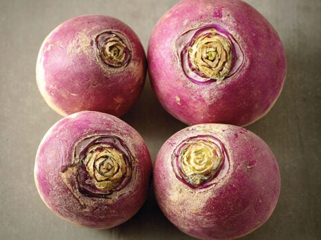 Whether you like yours mild, bitter or bright pink, it’s time to revive the turnip
