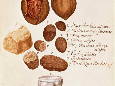 Nutmeg, the ultimate Christmas spice, has a dark and intoxicating history