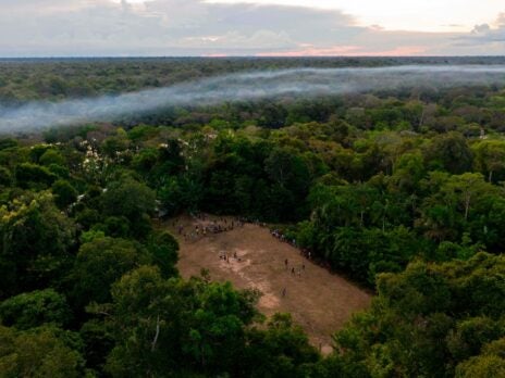 Can we save the Amazon rainforest?