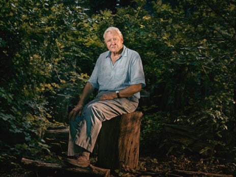David Attenborough's Green Planet is a necessary watch this January