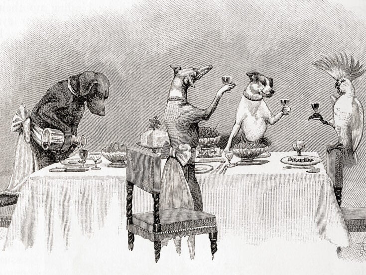 From the NS archive: Dog’s dinner