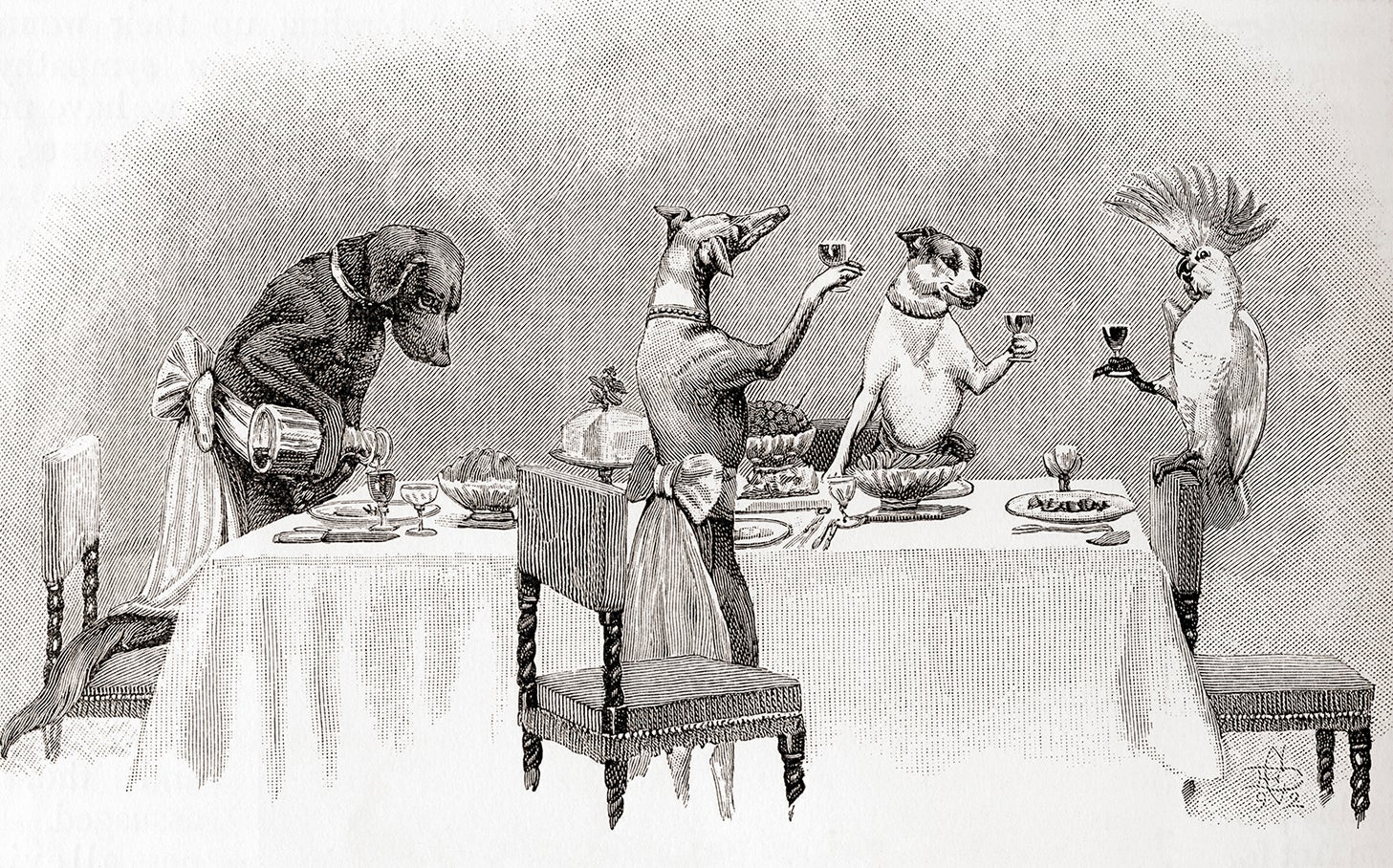 From the NS archive: Dog’s dinner