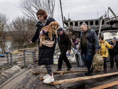 Ukraine’s pets are symbols of humanity in an inhumane war
