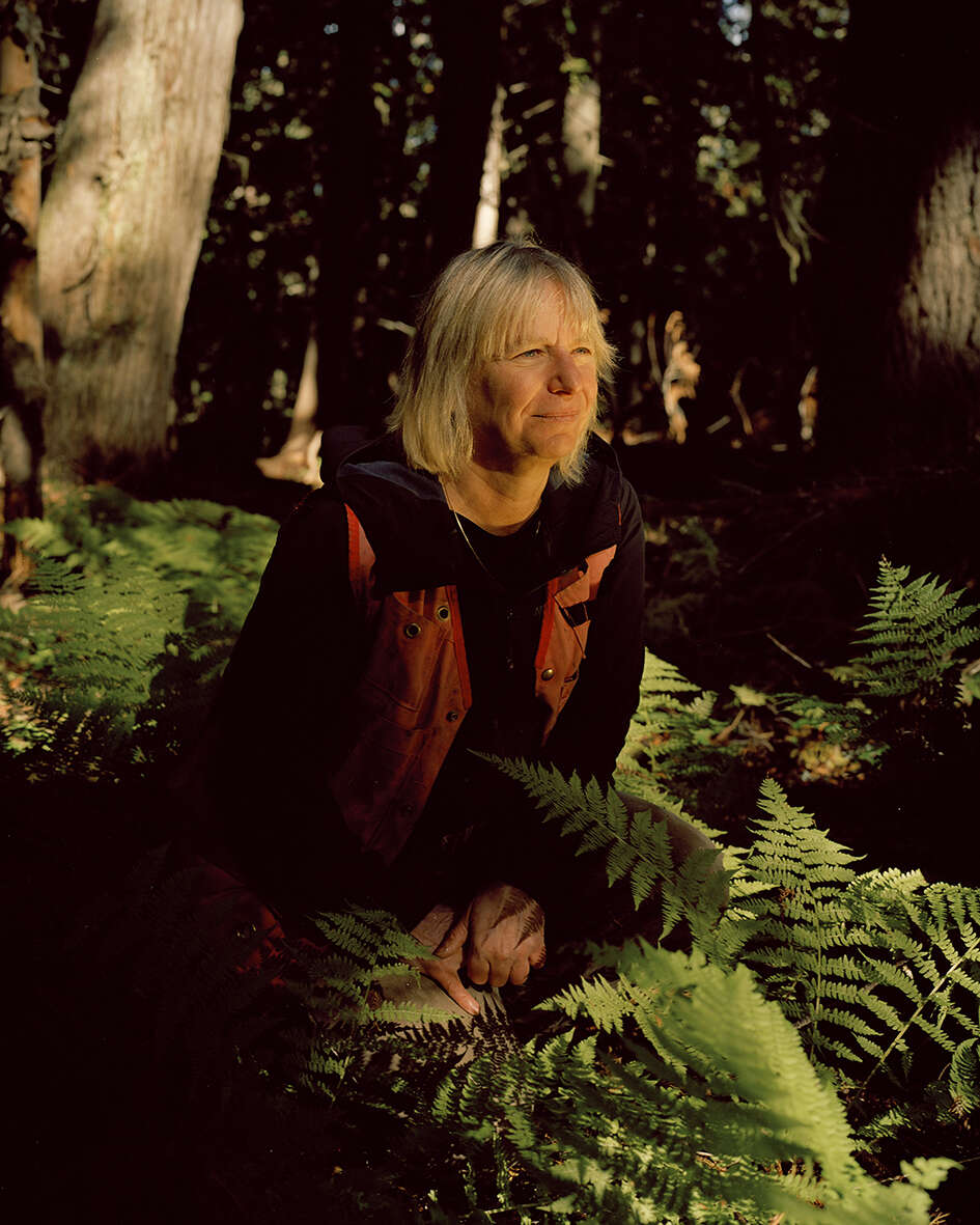 The forest whisperer Suzanne Simard: Jeff Bezos and Elon Musk should pay up