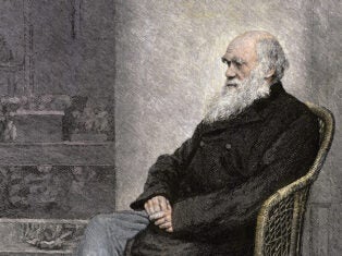 The myth of the white male scientific genius – and why its time is up