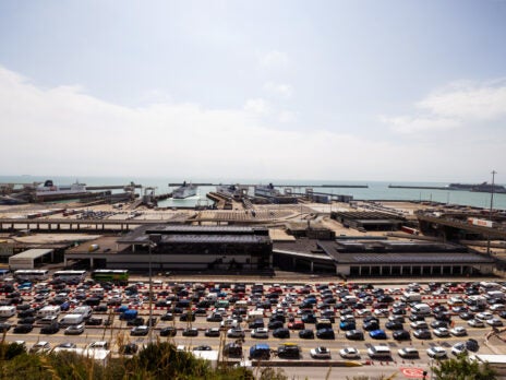 Brexiteers are too scared to be honest about Dover delays