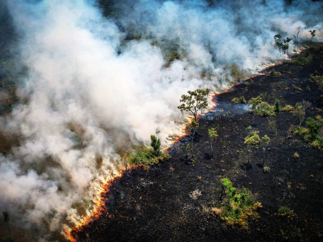 Bolsonaro burning Amazon rainforest