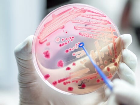On the front line against infection and anti-microbial  resistance