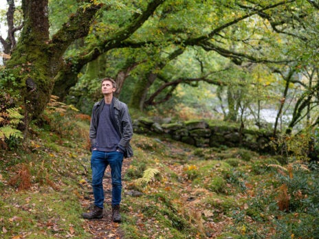 Discovering Britain's lost rainforests