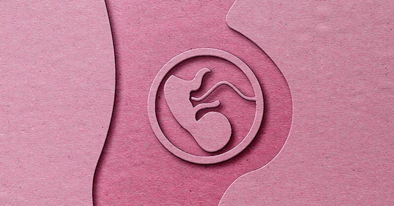 Secrets of the womb - Vimarsana News
