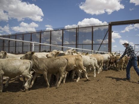 New analysis suggests climate coverage downplays livestock's impact